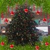 stacyr_2